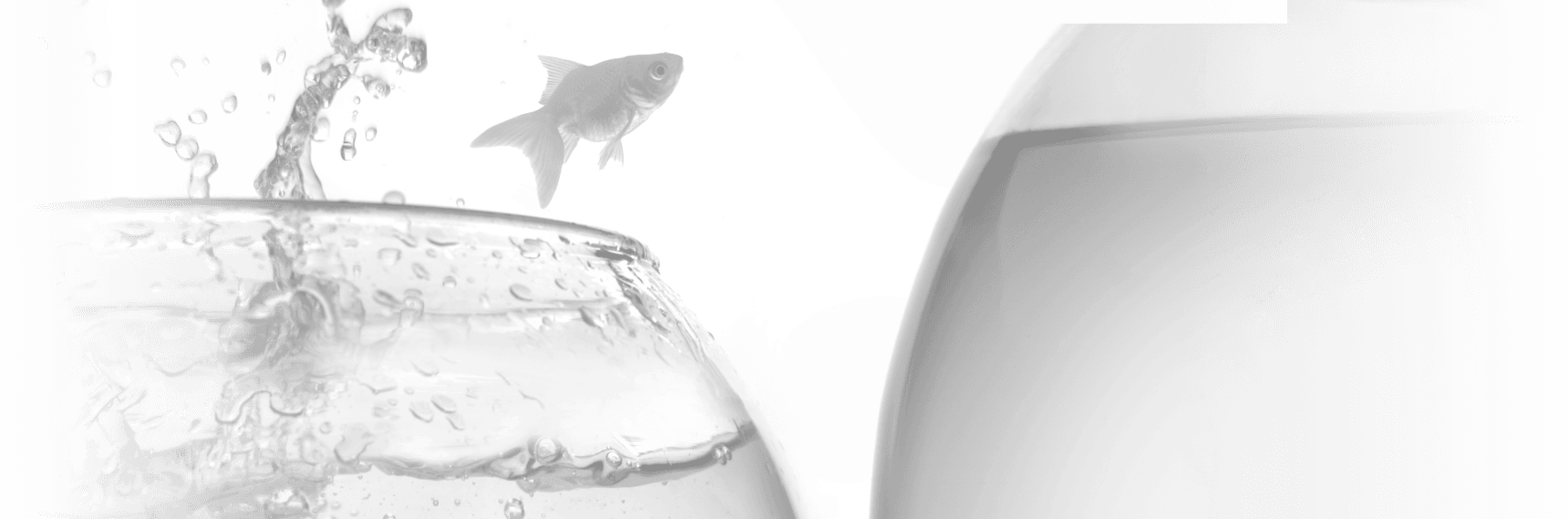 Corporate transformation and modernization through re-branding
